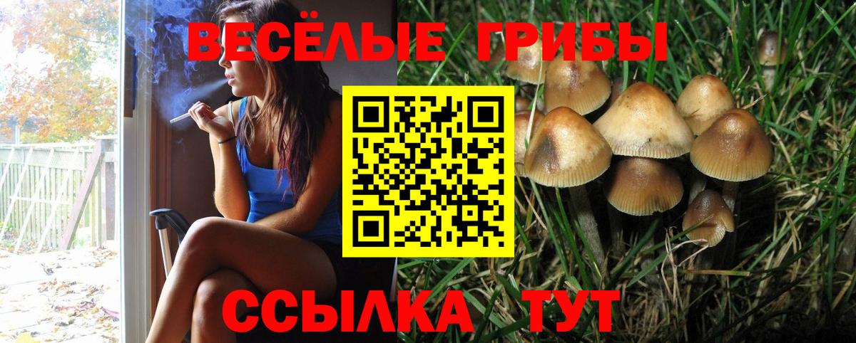 Псилоцибиновые грибы ЛСД Шелехов